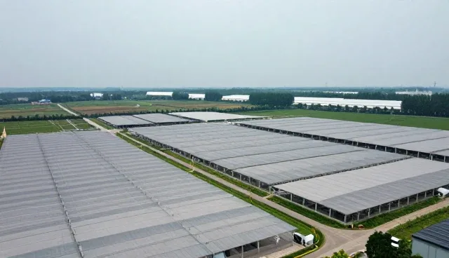 短视频运营场景分析：适用情况与限制解析