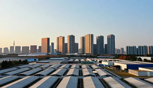 软件开发常见问题检查要点及维护建议